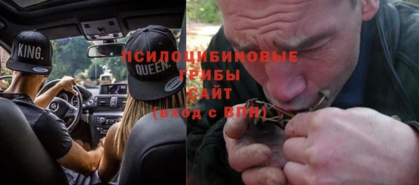 ГАЛЛЮЦИНОГЕННЫЕ ГРИБЫ Алзамай