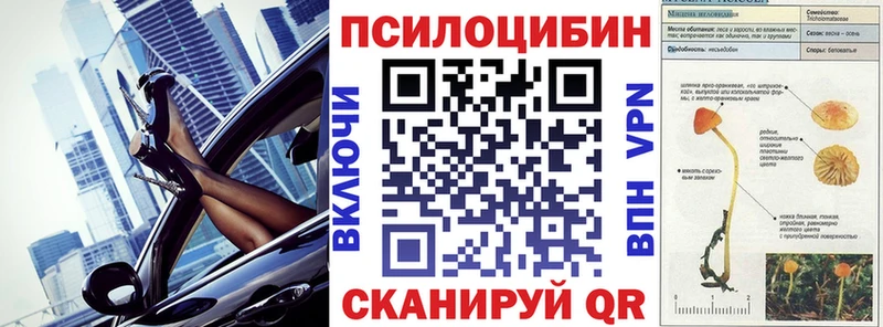 Псилоцибиновые грибы GOLDEN TEACHER  Покров 